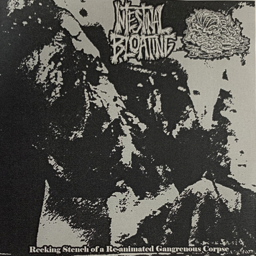 Botched Anastomosis J-Pouch : Reeking Stench of a Re-Animated Gangrenous Corpse